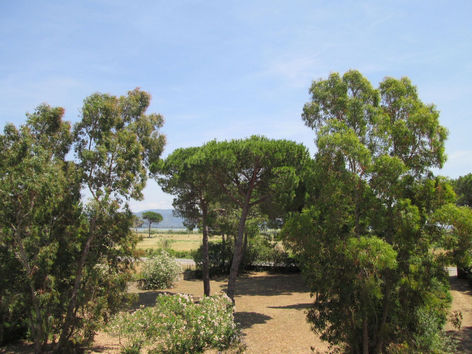 Casale Sprofondati - Giardino