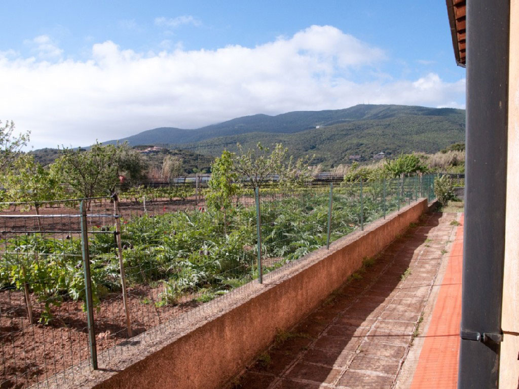 Casale Il Pino